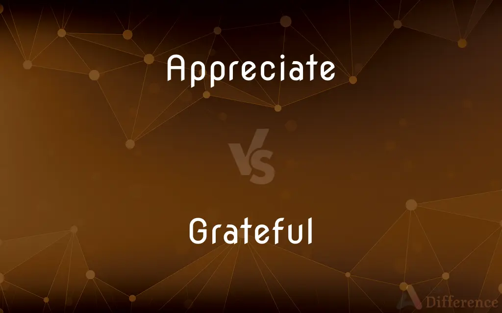 Appreciate vs. Grateful — What's the Difference?