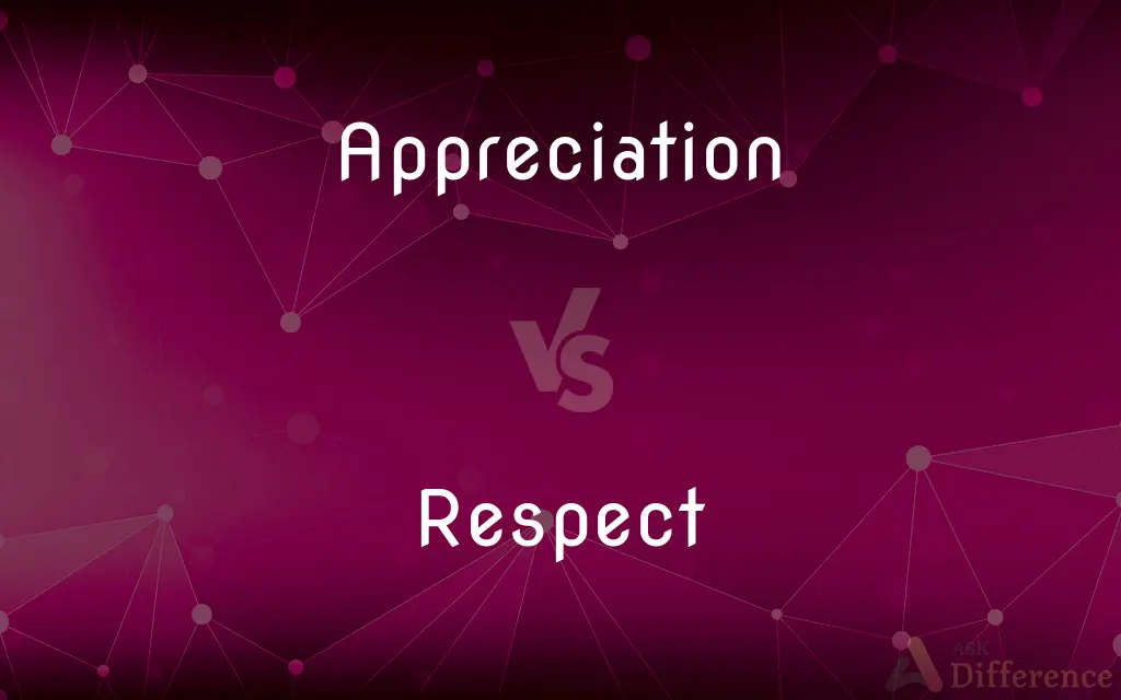 Appreciation vs. Respect — What's the Difference?