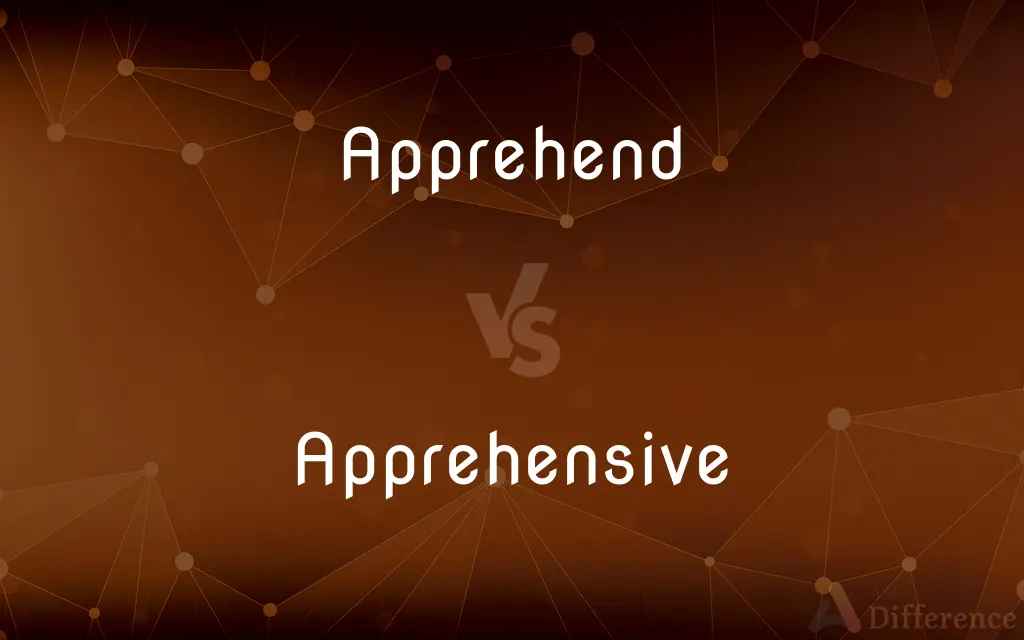 Apprehend vs. Apprehensive — What's the Difference?