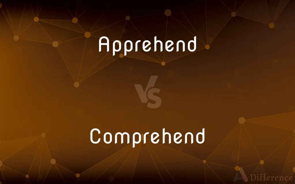 Apprehend vs. Comprehend — What's the Difference?