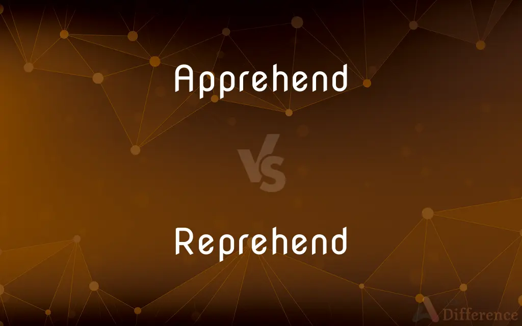 Apprehend vs. Reprehend — What's the Difference?