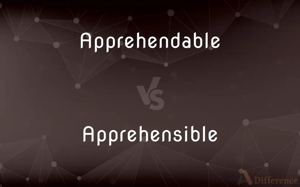 Apprehendable vs. Apprehensible — What's the Difference?