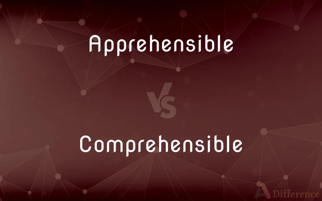 Apprehensible vs. Comprehensible — What's the Difference?