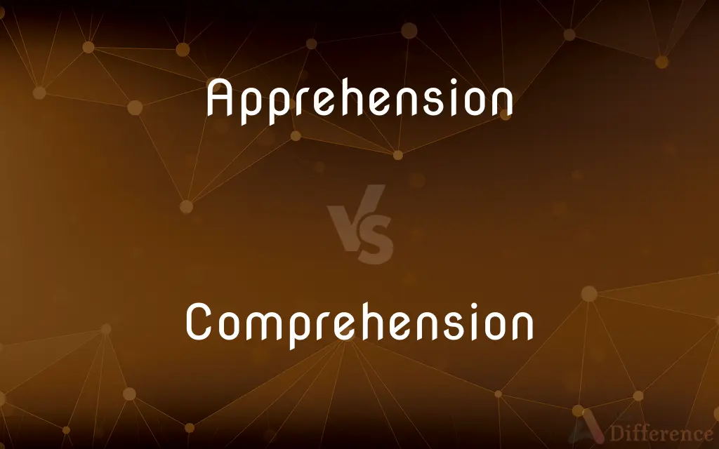 Apprehension vs. Comprehension — What's the Difference?