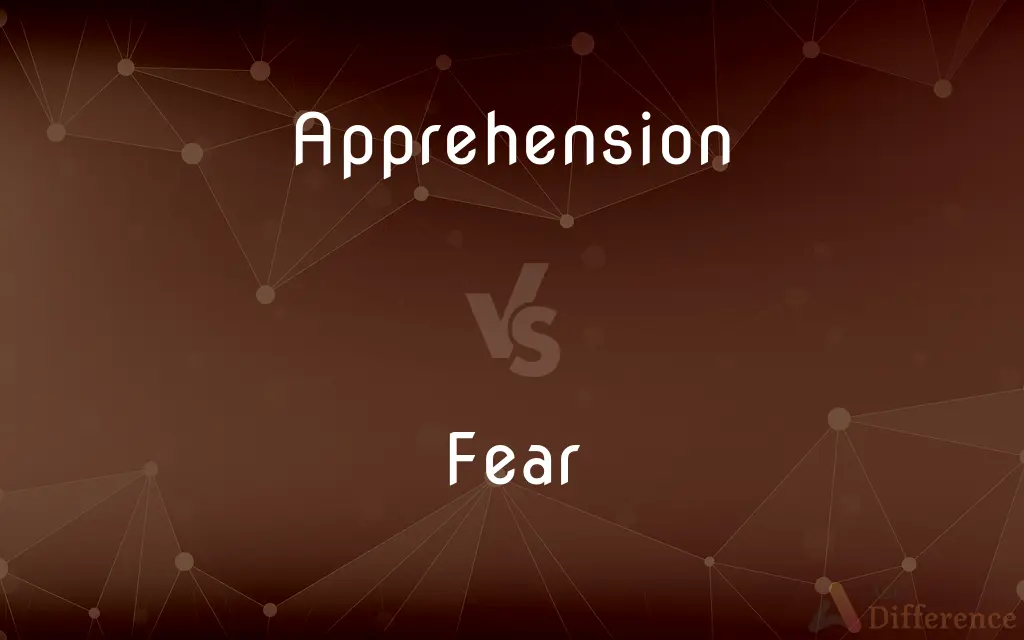 Apprehension vs. Fear — What's the Difference?