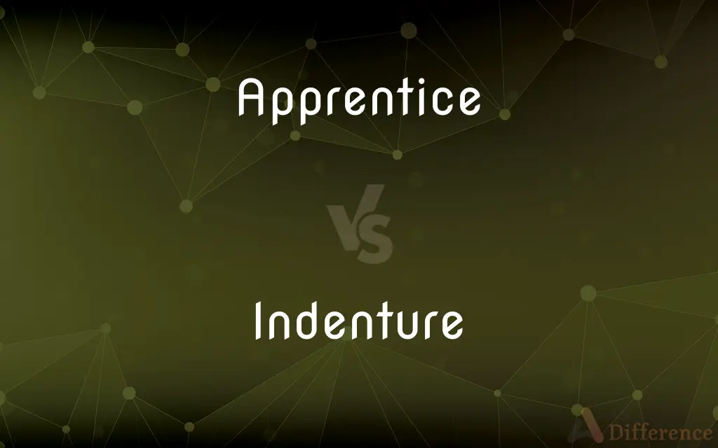Apprentice vs. Indenture — What's the Difference?