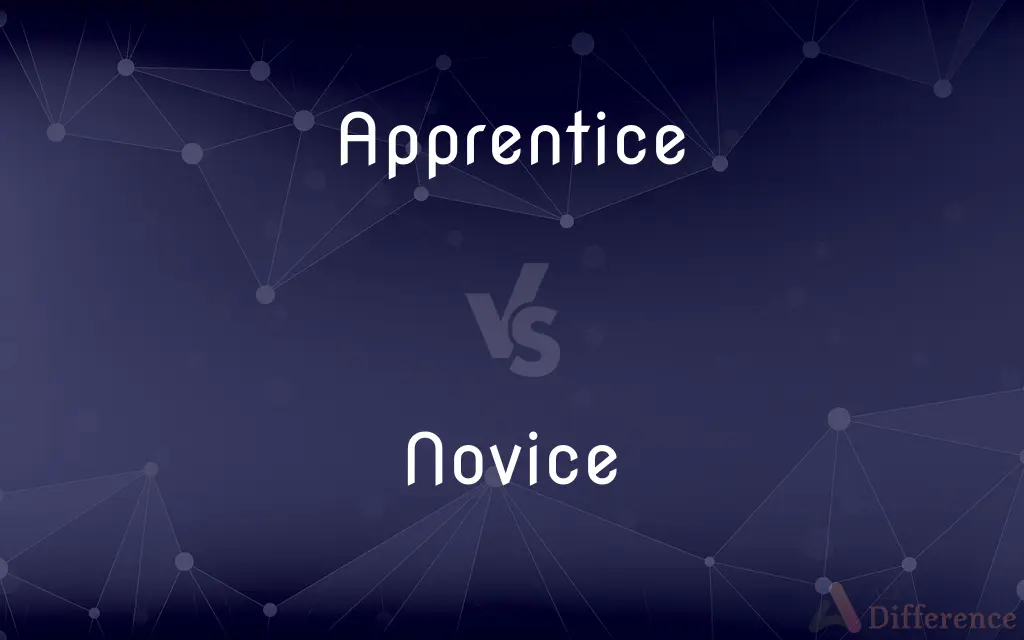 Apprentice vs. Novice — What's the Difference?
