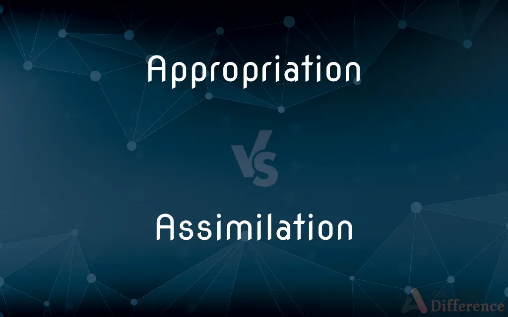 Appropriation vs. Assimilation — What's the Difference?