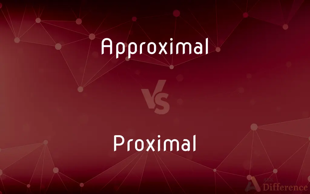 Approximal vs. Proximal — What's the Difference?
