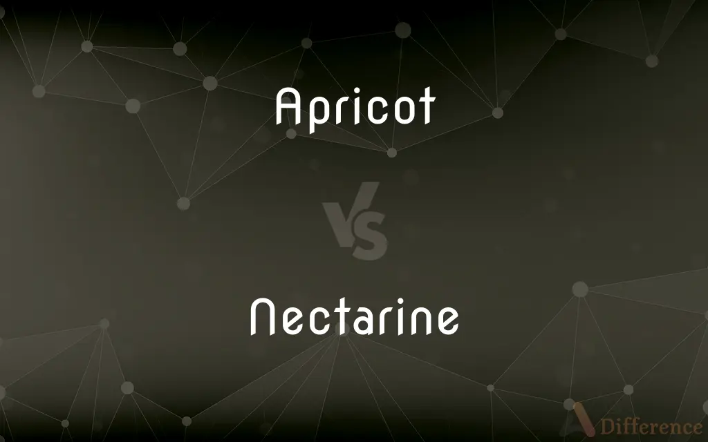 Apricot vs. Nectarine — What's the Difference?