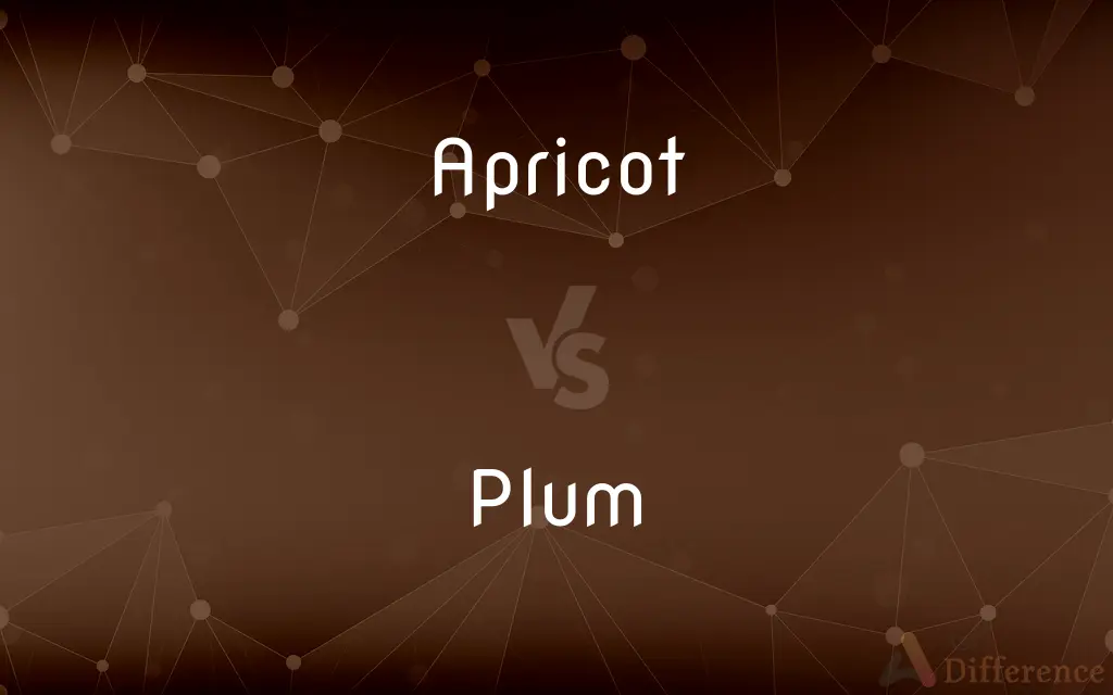 Apricot vs. Plum — What's the Difference?