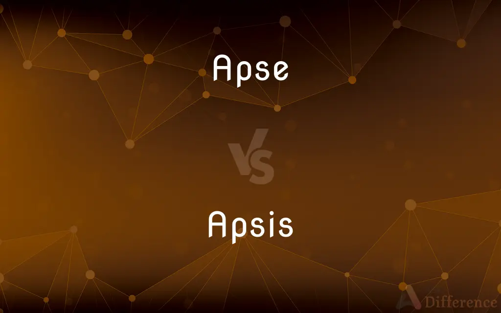 Apse vs. Apsis — What's the Difference?