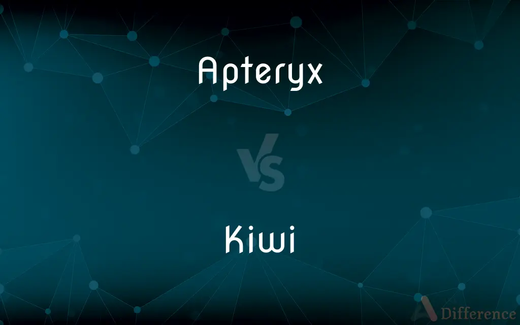 Apteryx vs. Kiwi — What's the Difference?
