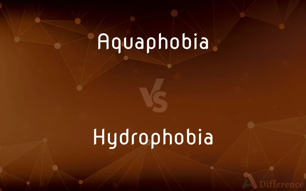 Aquaphobia vs. Hydrophobia — What's the Difference?
