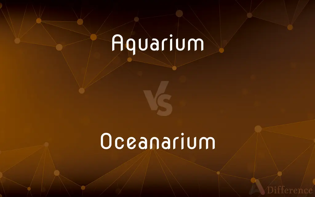 Aquarium vs. Oceanarium — What's the Difference?