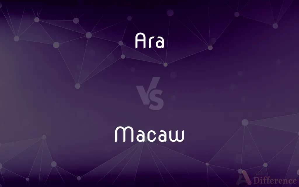 Ara vs. Macaw — What's the Difference?
