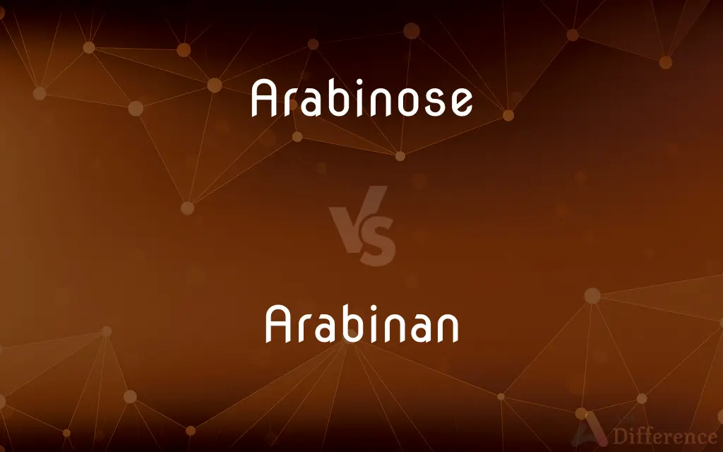 Arabinose vs. Arabinan — What's the Difference?