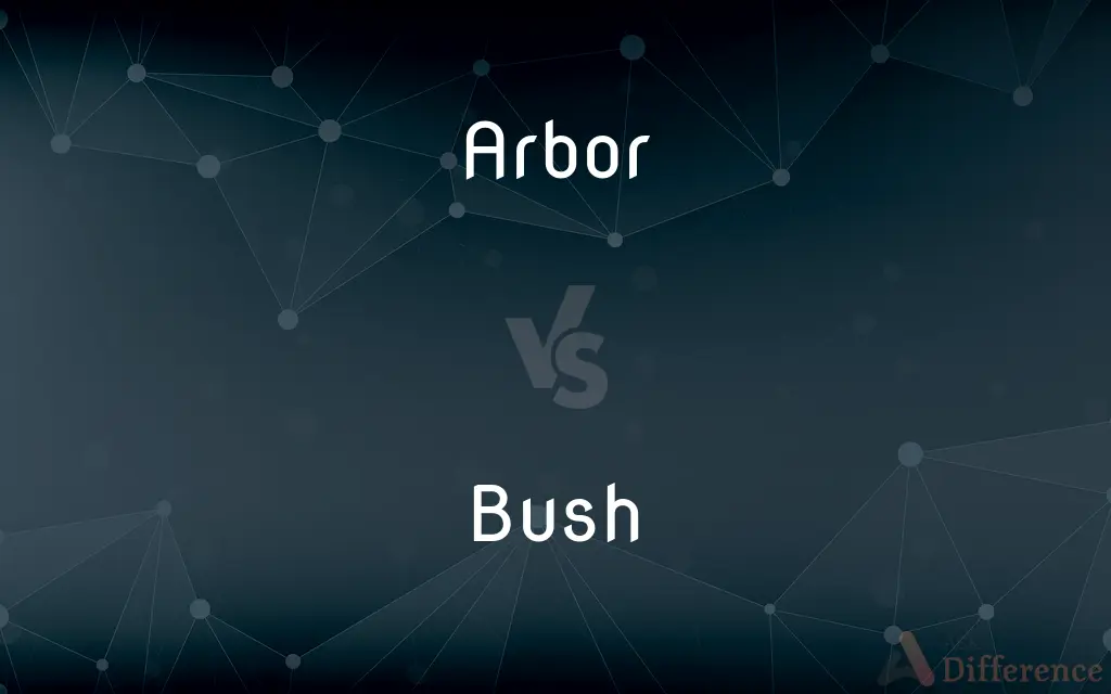 Arbor vs. Bush — What's the Difference?