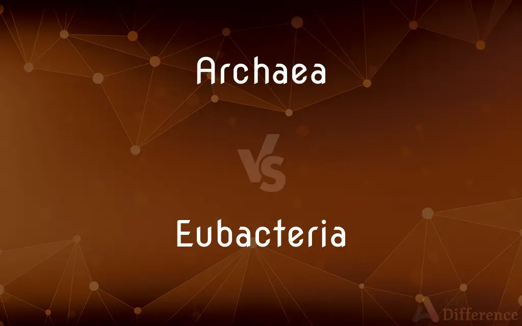 Archaea vs. Eubacteria — What's the Difference?