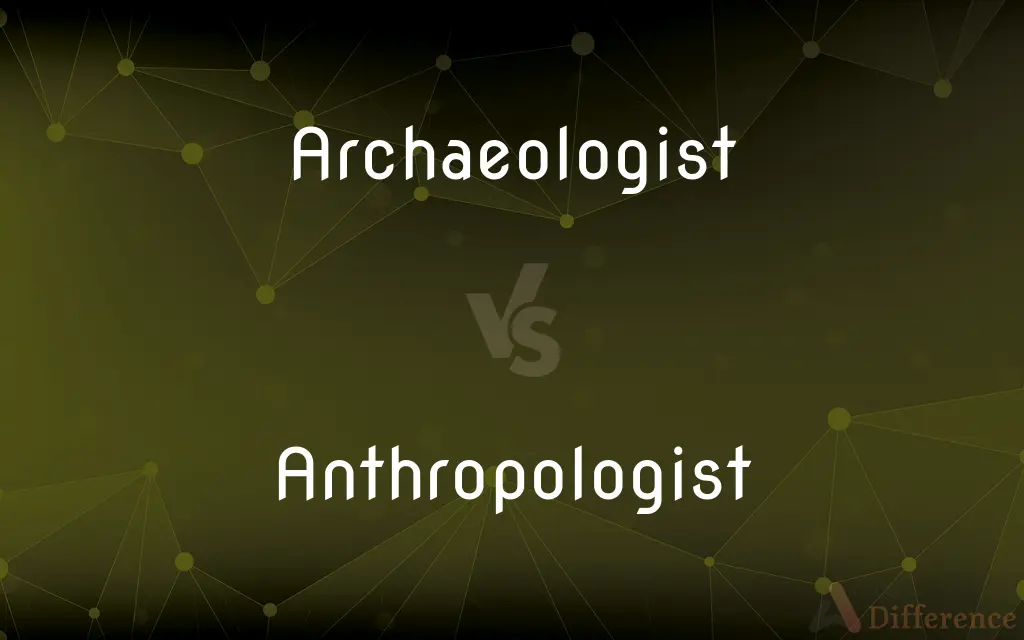 Archaeologist vs. Anthropologist — What's the Difference?