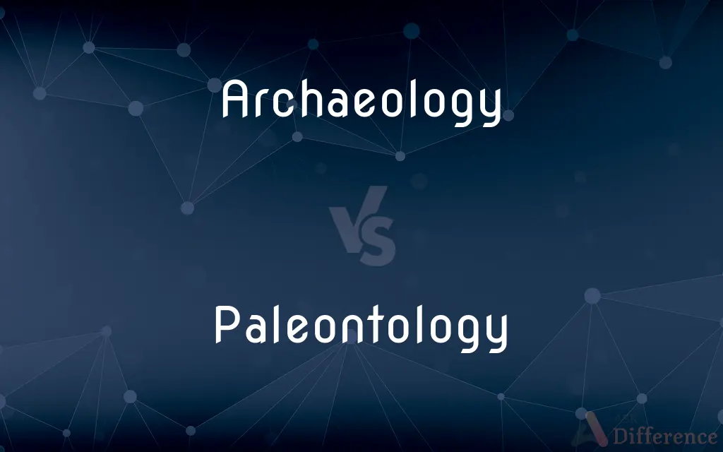 Archaeology vs. Paleontology — What's the Difference?