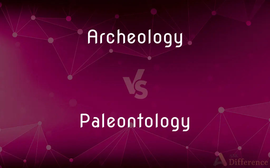Archeology vs. Paleontology — What's the Difference?