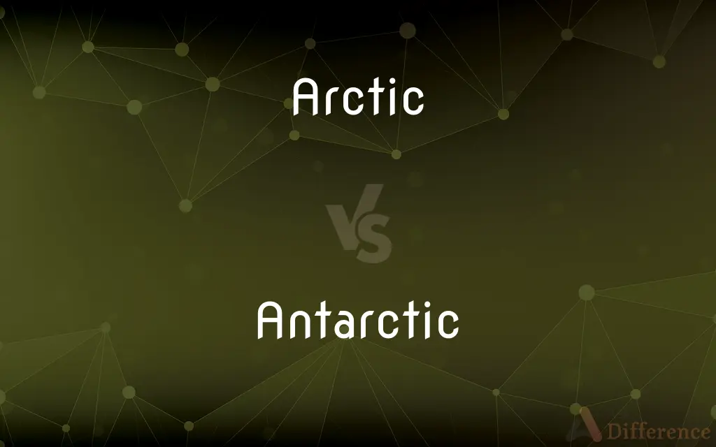 Arctic vs. Antarctic — What's the Difference?