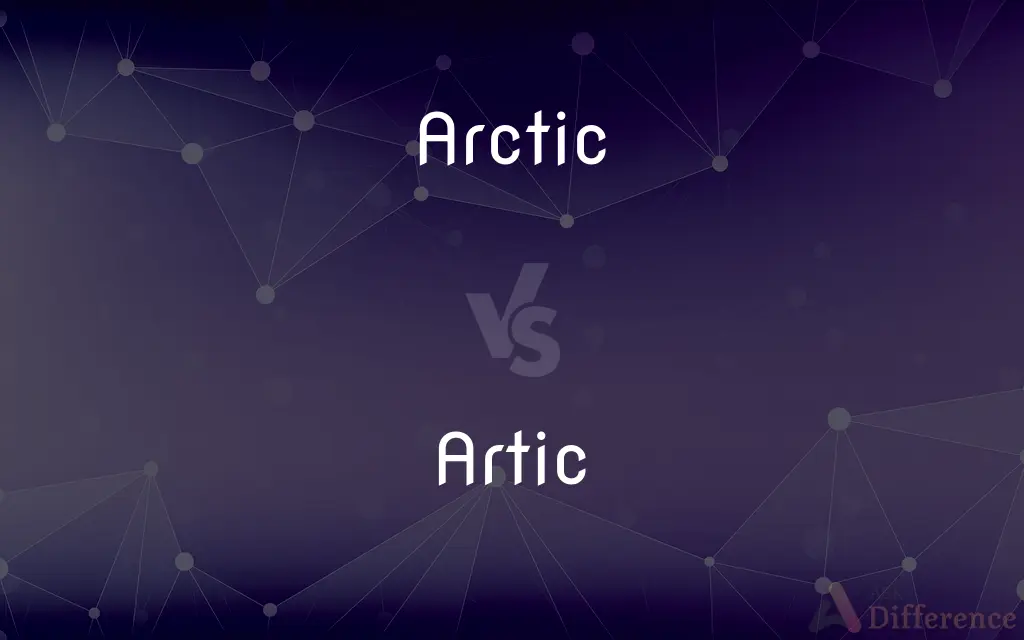 Arctic vs. Artic — What's the Difference?
