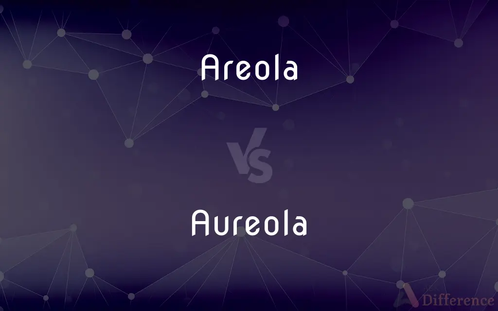 Areola vs. Aureola — What's the Difference?