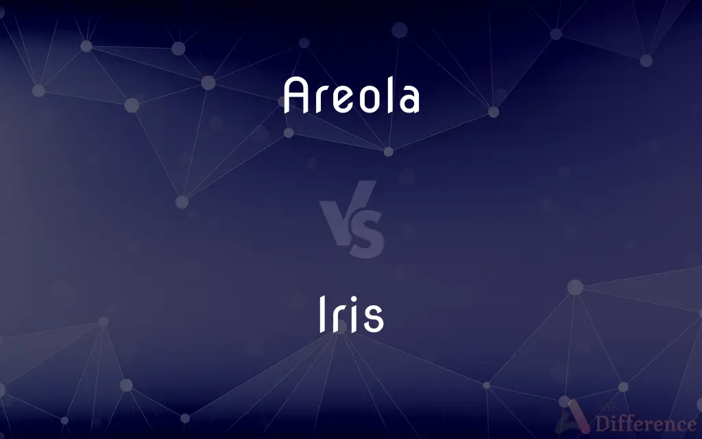 Areola vs. Iris — What's the Difference?