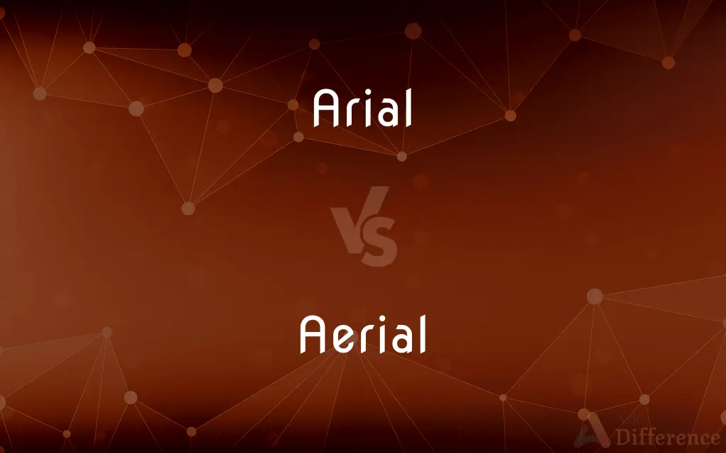 Arial vs. Aerial — What's the Difference?