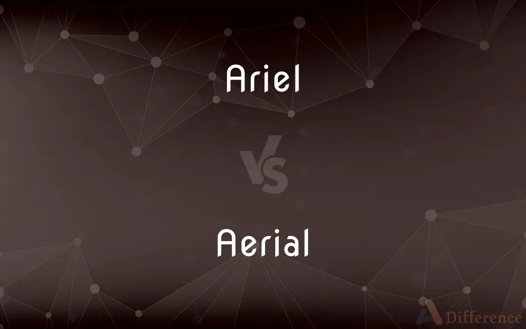 Ariel vs. Aerial — What's the Difference?
