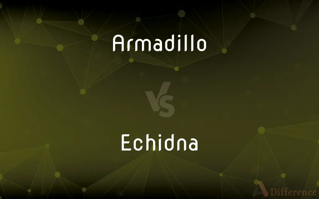Armadillo vs. Echidna — What's the Difference?