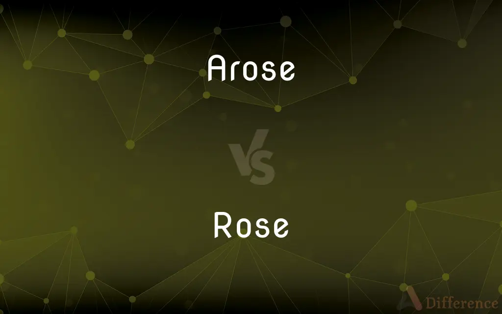 Arose vs. Rose — What's the Difference?