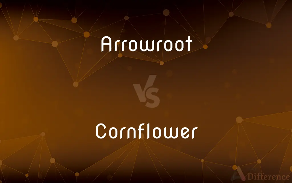 Arrowroot vs. Cornflower — What's the Difference?