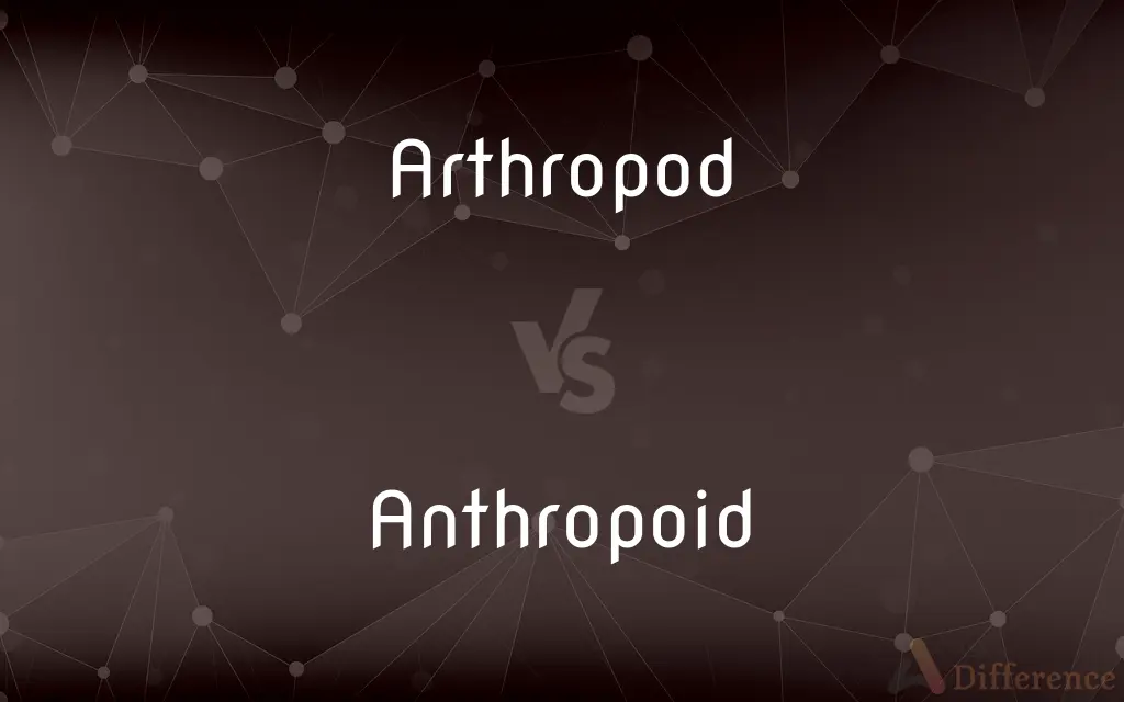 Arthropod vs. Anthropoid — What's the Difference?
