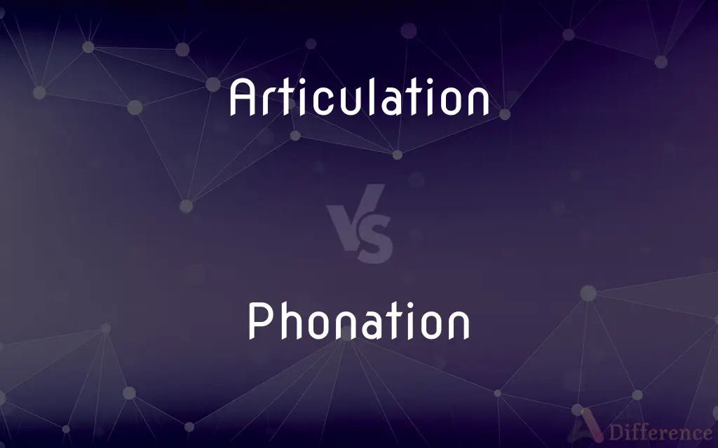 Articulation vs. Phonation — What's the Difference?