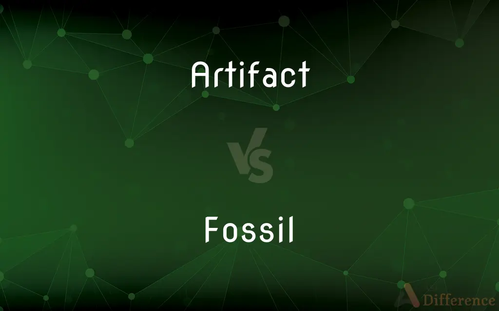 Artifact vs. Fossil — What's the Difference?