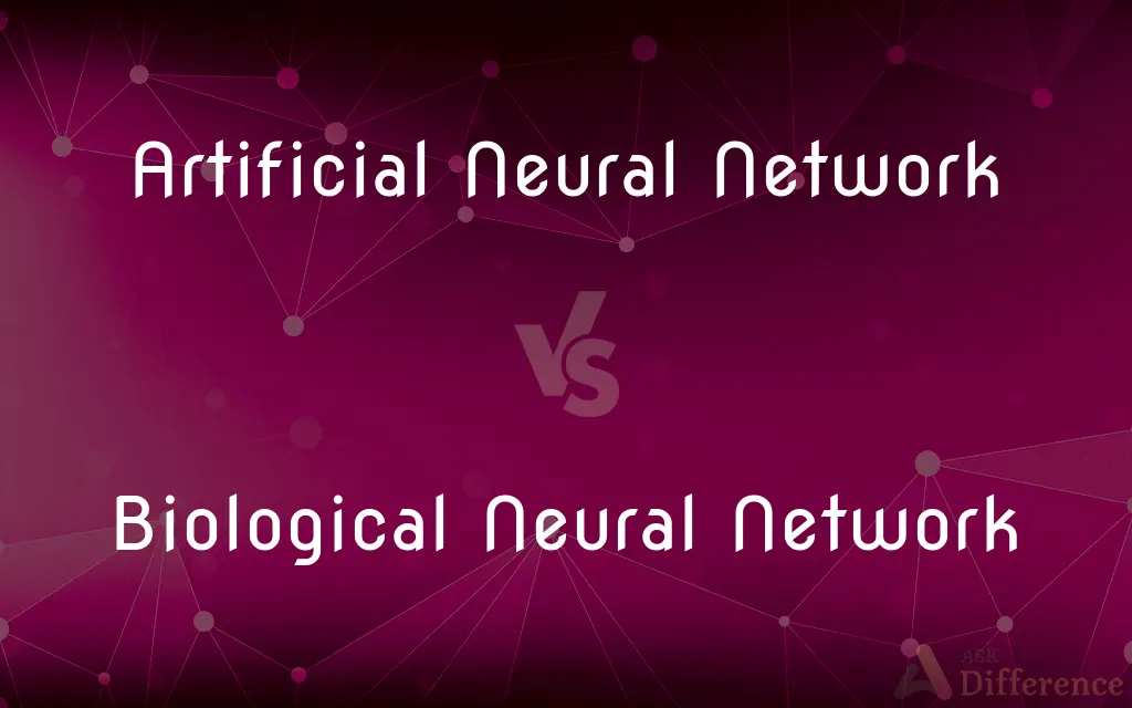Artificial Neural Network vs. Biological Neural Network — What's the Difference?