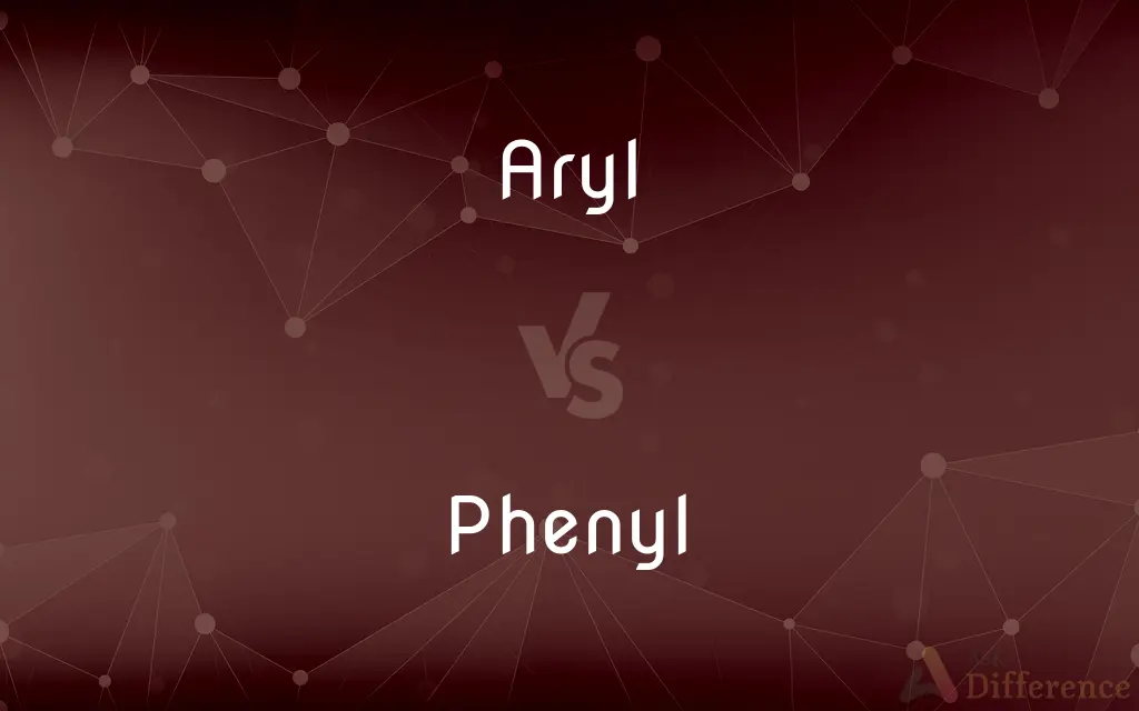 Aryl vs. Phenyl — What's the Difference?