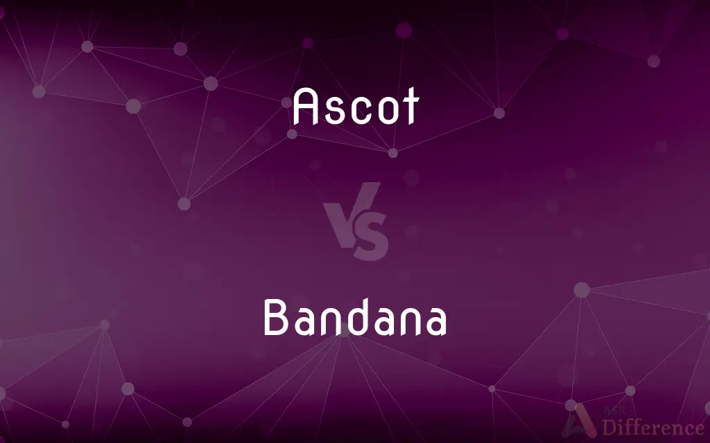 Ascot vs. Bandana — What's the Difference?