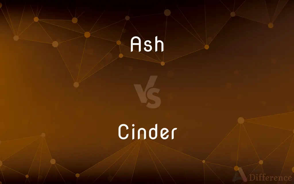 Ash vs. Cinder — What's the Difference?