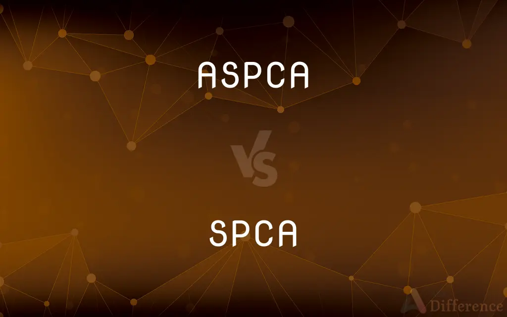 ASPCA vs. SPCA — What's the Difference?