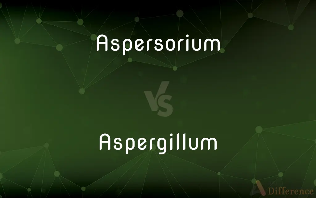 Aspersorium vs. Aspergillum — What's the Difference?