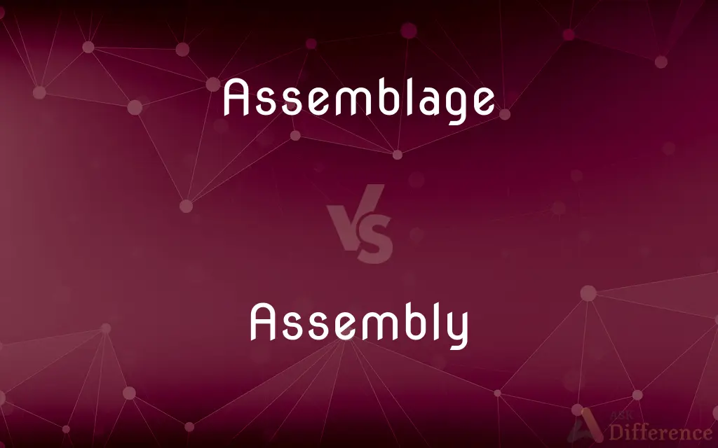 Assemblage vs. Assembly — What's the Difference?