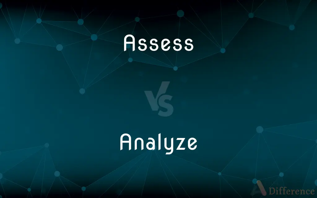 Assess vs. Analyze — What's the Difference?