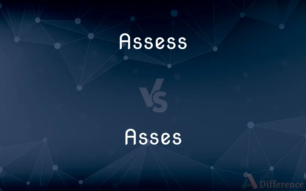 Assess vs. Asses — What's the Difference?