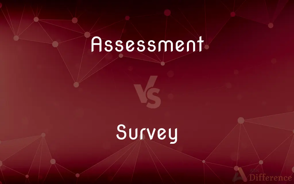 Assessment vs. Survey — What's the Difference?