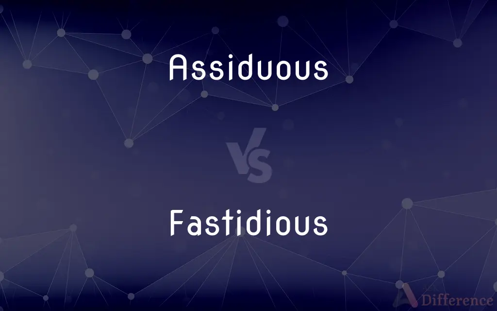 Assiduous vs. Fastidious — What's the Difference?