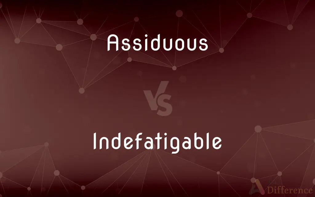 Assiduous vs. Indefatigable — What's the Difference?